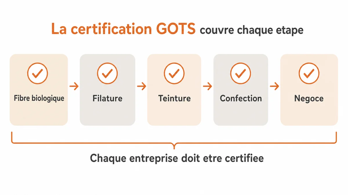 Schéma de la chaîne de production couverte par la certification GOTS, du traitement de la fibre au négoce